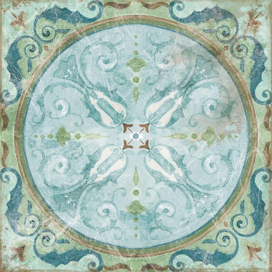 Image Only