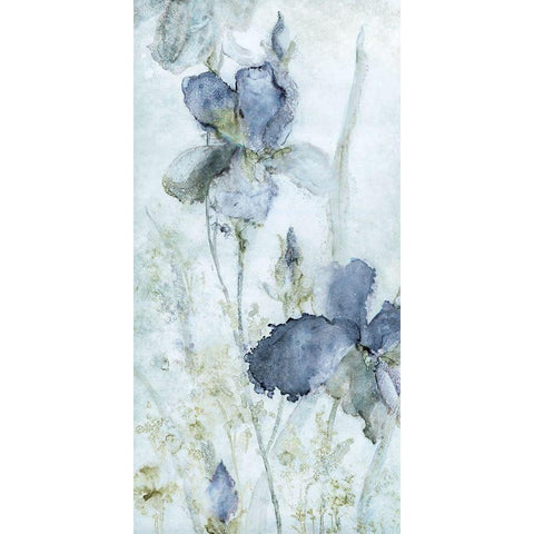 Morning Iris White Modern Wood Framed Art Print by Robinson, Carol