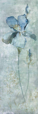 Blue Iris Black Ornate Wood Framed Art Print with Double Matting by Robinson, Carol