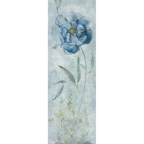 Blue Peony Black Modern Wood Framed Art Print with Double Matting by Robinson, Carol