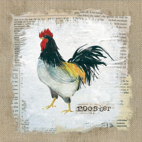 Burlap Rooster Black Modern Wood Framed Art Print with Double Matting by Robinson, Carol