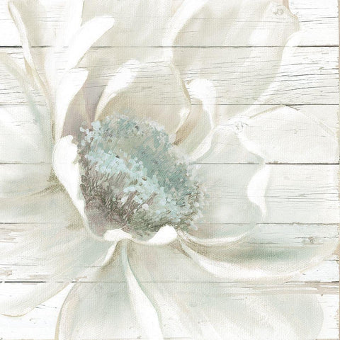 Weathered White I Black Modern Wood Framed Art Print with Double Matting by Robinson, Carol