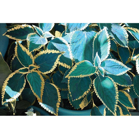 Tropical Leaves Gold Ornate Wood Framed Art Print with Double Matting by Nan