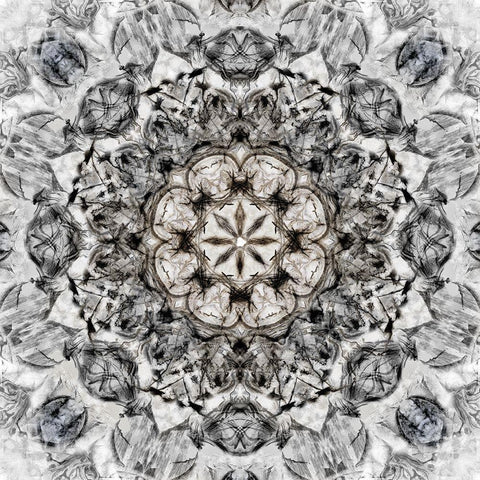 Black White Kaleidoscope Black Ornate Wood Framed Art Print with Double Matting by Nan