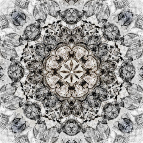 Black White Kaleidoscope Black Modern Wood Framed Art Print with Double Matting by Nan