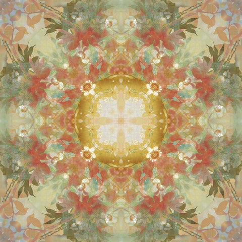 Kaleidoscope Floral Gold White Modern Wood Framed Art Print with Double Matting by Nan