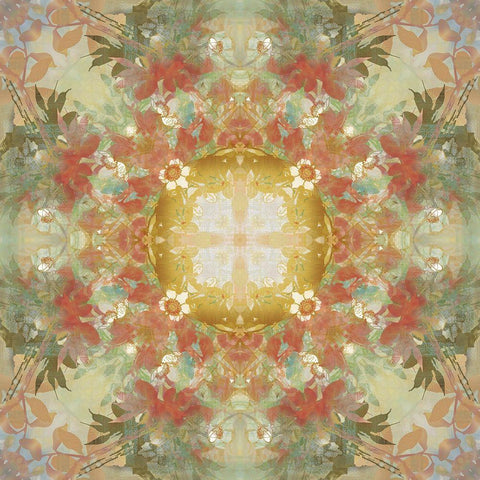 Kaleidoscope Floral Gold Gold Ornate Wood Framed Art Print with Double Matting by Nan