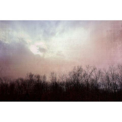 Soft Sky Black Modern Wood Framed Art Print with Double Matting by Nan