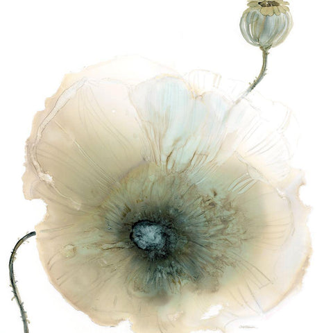 Iridescent Poppy I White Modern Wood Framed Art Print by Robinson, Carol