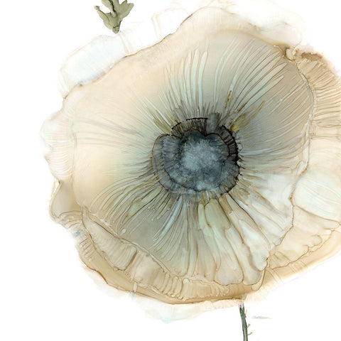 Iridescent Poppy II White Modern Wood Framed Art Print by Robinson, Carol