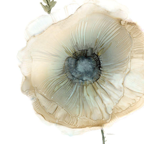 Iridescent Poppy II White Modern Wood Framed Art Print with Double Matting by Robinson, Carol
