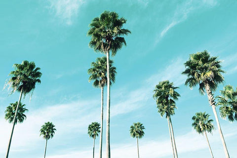 East Coast White Modern Wood Framed Art Print with Double Matting by Carpentieri, Natalie