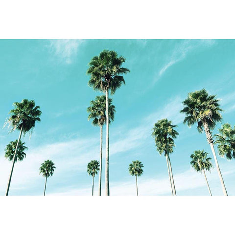 East Coast Gold Ornate Wood Framed Art Print with Double Matting by Carpentieri, Natalie