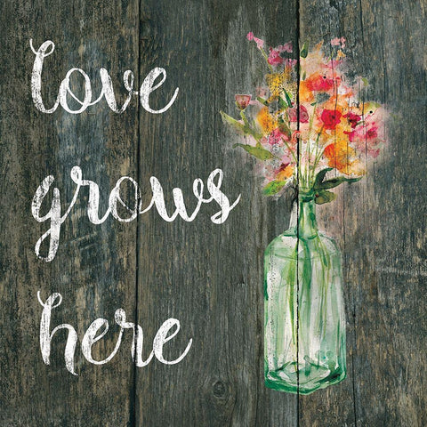 Love Grows Here White Modern Wood Framed Art Print with Double Matting by Robinson, Carol