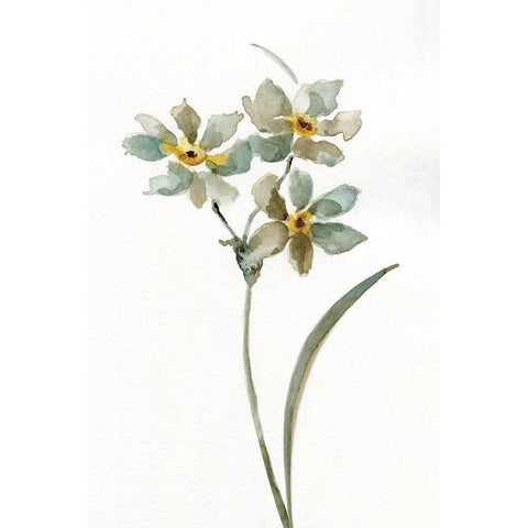 Neutral Botanical I White Modern Wood Framed Art Print by Nan