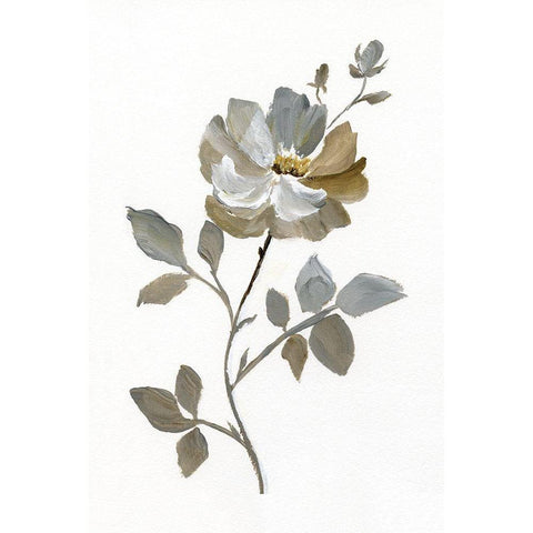 Neutral Rose I Black Modern Wood Framed Art Print with Double Matting by Nan