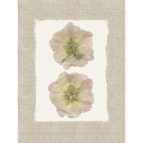 Pressed Duo Gold Ornate Wood Framed Art Print with Double Matting by Robinson, Carol