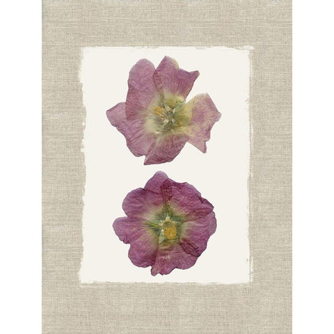 Pressed Duo White Modern Wood Framed Art Print by Robinson, Carol