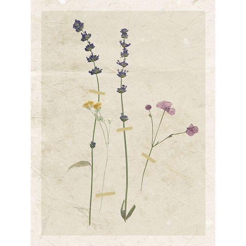 Pressed Lavender Gold Ornate Wood Framed Art Print with Double Matting by Robinson, Carol