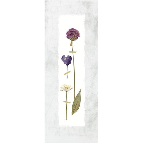 Pressed Panel I White Modern Wood Framed Art Print by Robinson, Carol