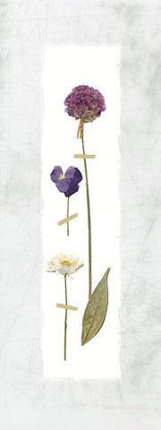 Pressed Panel I Black Ornate Wood Framed Art Print with Double Matting by Robinson, Carol