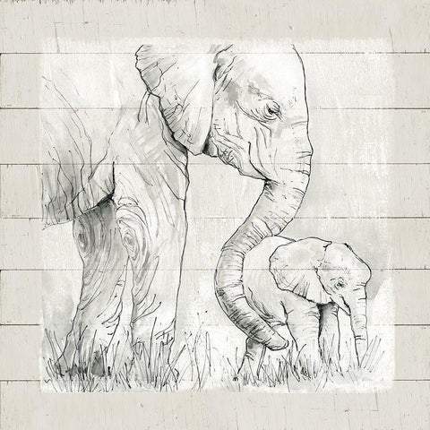 Sketchy Mother and Baby Elephant Black Modern Wood Framed Art Print with Double Matting by Robinson, Carol