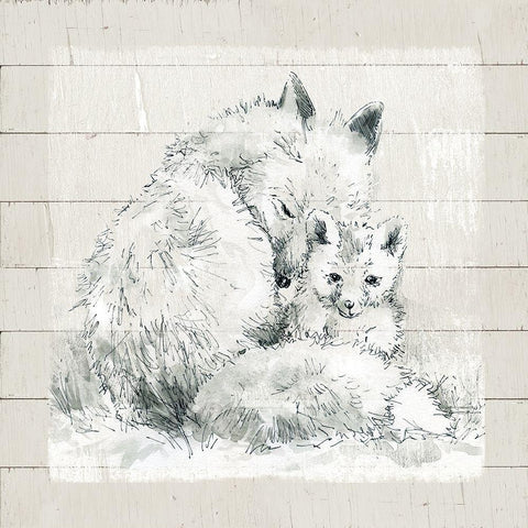 Sketchy Mother and Baby Fox White Modern Wood Framed Art Print with Double Matting by Robinson, Carol