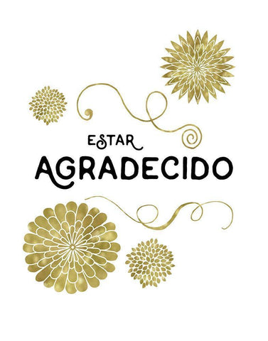 Estar Agradecido Black Ornate Wood Framed Art Print with Double Matting by Murray, Amanda