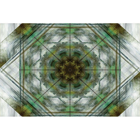 Green Grey Kaleidoscope I Black Modern Wood Framed Art Print with Double Matting by Nan