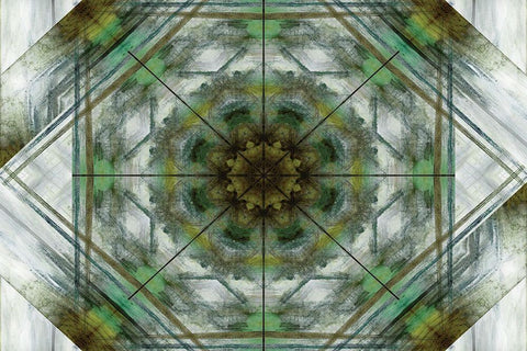 Green Grey Kaleidoscope I Black Ornate Wood Framed Art Print with Double Matting by Nan