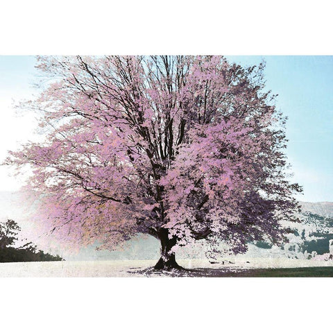 Season of Spring White Modern Wood Framed Art Print by Weisz, Irene
