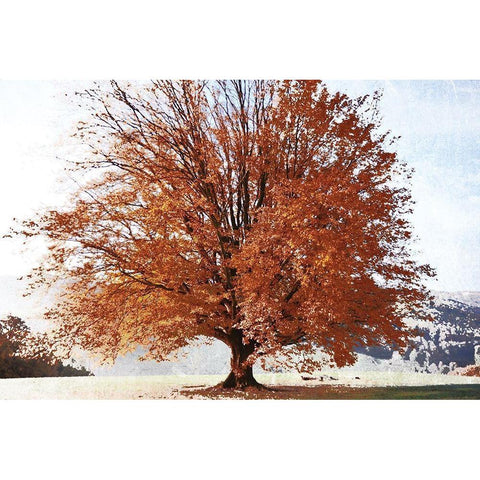 Season of Fall Gold Ornate Wood Framed Art Print with Double Matting by Weisz, Irene