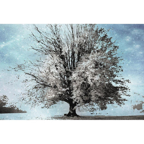 Season of Winter Black Modern Wood Framed Art Print with Double Matting by Weisz, Irene