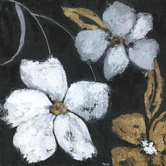 Image Only