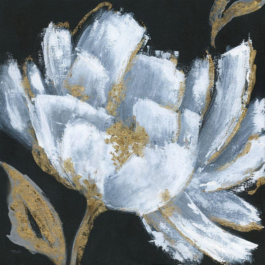 Image Only