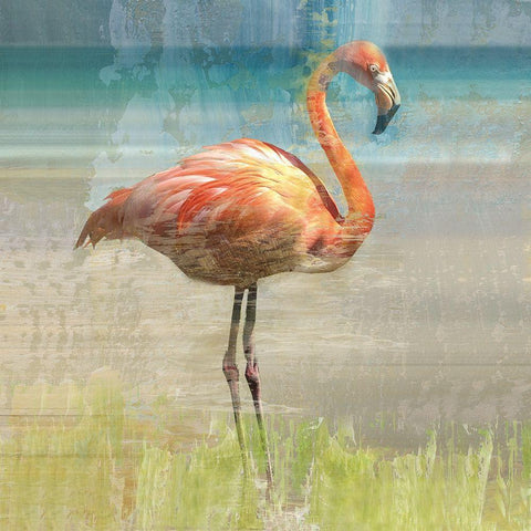 Flamingo Fancy I White Modern Wood Framed Art Print by Nan