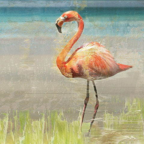 Flamingo Fancy II White Modern Wood Framed Art Print by Nan