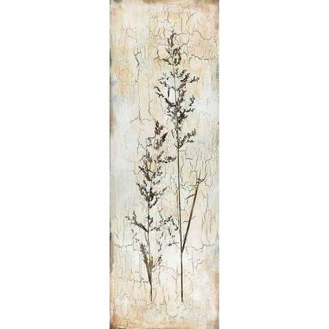 Delicate Nature I White Modern Wood Framed Art Print by Robinson, Carol