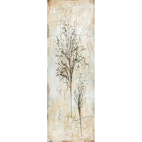 Delicate Nature II White Modern Wood Framed Art Print by Robinson, Carol