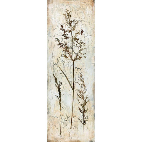 Delicate Nature III White Modern Wood Framed Art Print by Robinson, Carol