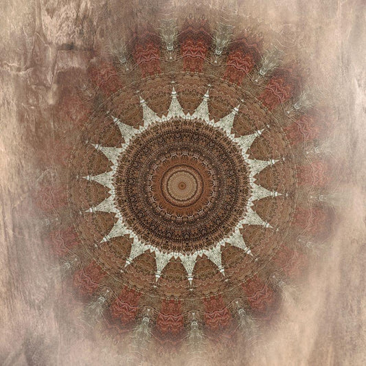 Image Only