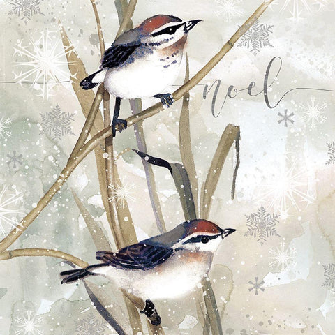 Winter Birds Noel White Modern Wood Framed Art Print with Double Matting by Robinson, Carol