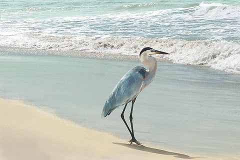 Beach Set Heron White Modern Wood Framed Art Print with Double Matting by Nan