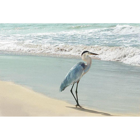 Beach Set Heron Black Modern Wood Framed Art Print with Double Matting by Nan