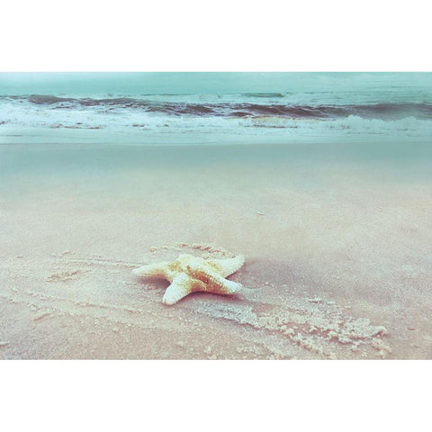 Beach Set Starfish White Modern Wood Framed Art Print by Nan