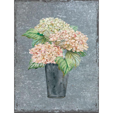 Hydrangea on Galvanized Metal White Modern Wood Framed Art Print by Robinson, Carol