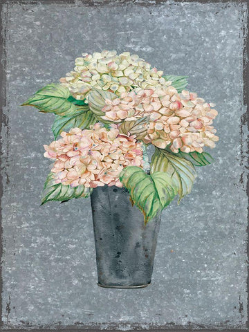 Hydrangea on Galvanized Metal White Modern Wood Framed Art Print with Double Matting by Robinson, Carol