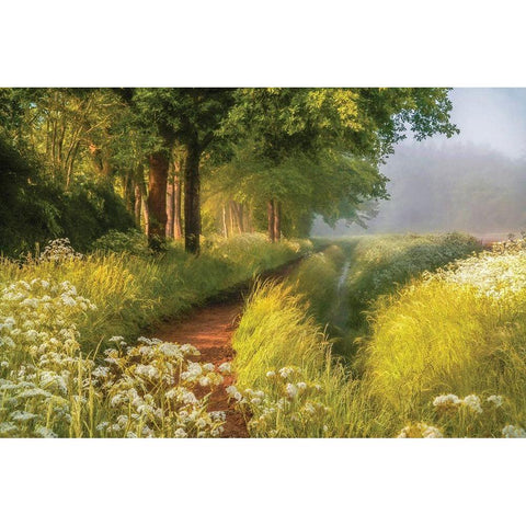 Spring in Holland Black Modern Wood Framed Art Print by Van de Goor, Lars