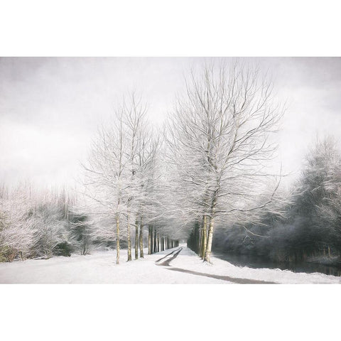 Winter is Here White Modern Wood Framed Art Print by Van de Goor, Lars