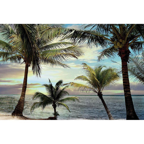 Honduras Sunset Black Modern Wood Framed Art Print with Double Matting by Carpentieri, Natalie
